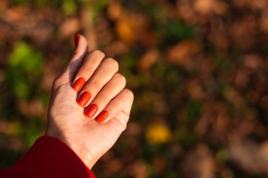 Kadınların parktaki ellerini yakın çekimde turuncu manikür, sonbahar havası..