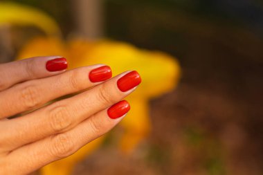 Kadınların parktaki ellerini yakın çekimde turuncu manikür, sonbahar havası..