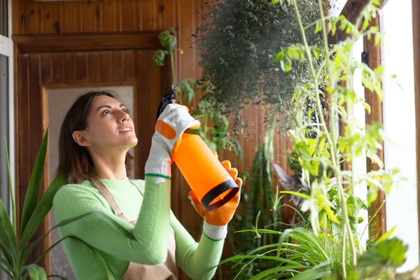 Woman gardener at home in apron and gloves with growing plants on house balcony watering using spray