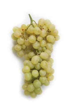 Taze yeşil üzüm beyaz arka planda izole edilmiş.