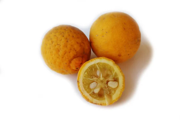 Frutos Amarelos Trifoliados Isolados Fundo Branco Muitas Frutas Poncirus Trifoliata — Fotografia de Stock