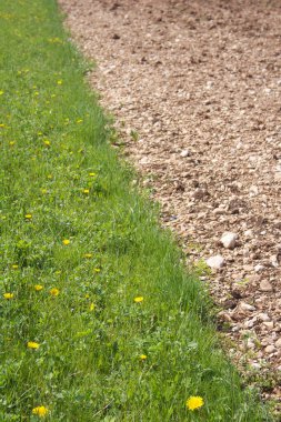 Pınar tarlasının yanındaki yeşil çayır.