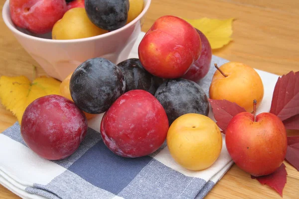 Ganze Gelbe Rote Und Lila Pflaumenfrüchte Auf Einem Holztisch Prunus — Stockfoto