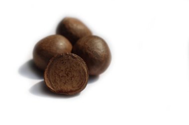 Beyaz arka planda izole edilmiş çay çekirdekleri yakın plan. Camelia sinensis tohumları