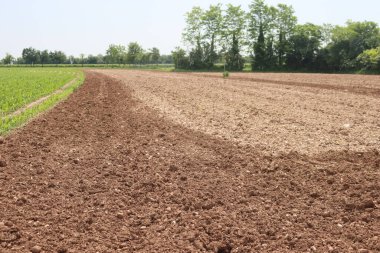 İtalya kırsalında yeni sürülmüş bir tarla. Güneşli bir günde ilkbaharda tarım manzarası