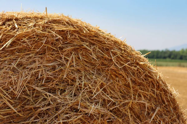 Primer Plano Paca Heno Dorado Campo Segado Verano Bajo Cielo — Foto de Stock