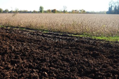 Kuru soya tarlasının yanında yeni sürülmüş tarla İtalya 'nın kırsal kesiminde sonbahar mevsiminde hasat etmeye hazır.