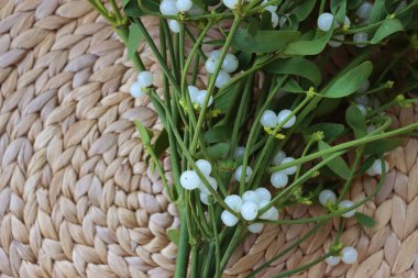 Tahta masanın üzerinde beyaz böğürtlen olan bir sürü Misteletoe dalı. Viscum albümü 