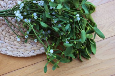 Tahta masanın üzerinde beyaz böğürtlen olan bir sürü Misteletoe dalı. Viscum albümü 