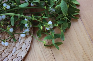 Tahta masada üzerinde beyaz böğürtlen bulunan bir sürü Misteletoe dalı. Viscum albümü 