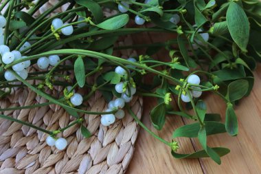 Tahta masanın üzerinde beyaz böğürtlen olan bir sürü Misteletoe dalı. Viscum albümü 