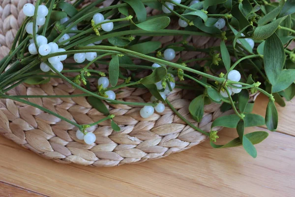 Tahta masanın üzerinde beyaz böğürtlen olan bir sürü Misteletoe dalı. Viscum albümü 