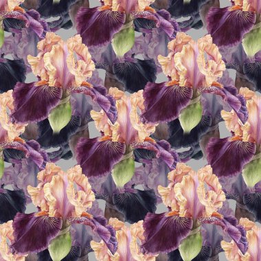 Mor İris çiçeği suluboya botanik el çizimi kusursuz desen. Arkaplan dokusu.