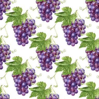 Yapraksız suluboya desenli üzüm demeti beyaz arkaplanda izole