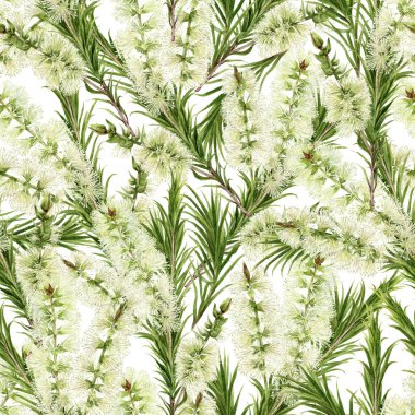 Beyaz arkaplanda suluboya desensiz çay ağacı dalları.