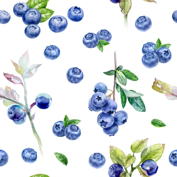 Blueberries set watercolor illustration isolated on white background