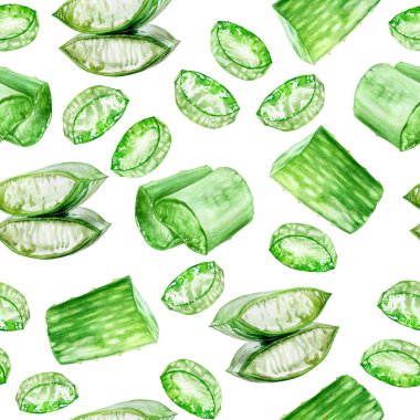 Beyaz üzerine izole edilmiş suluboya desenli aloe.
