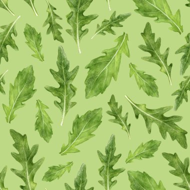 Renkli bir arkaplanda suluboya desensiz roka bitkisi.