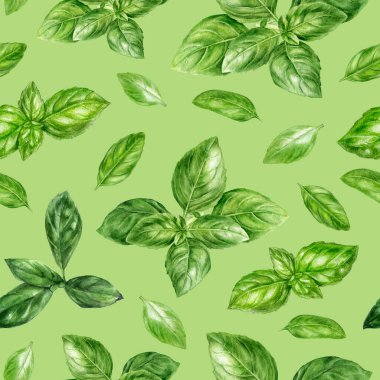 Renkli bir arkaplanda suluboya desensiz fesleğen otu.