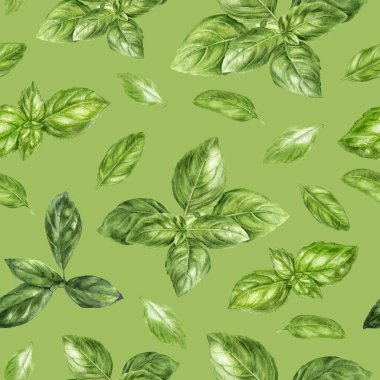 Renkli bir arkaplanda suluboya desensiz fesleğen otu.