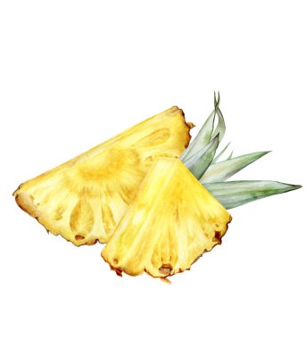 Beyaz arkaplanda izole edilmiş ananas suluboya çizimi