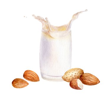 Beyaz arka planda izole edilmiş suluboya resimli sütle badem.