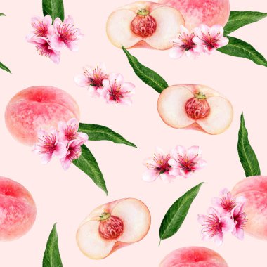 Suluboya desensiz şeftali çiçekli ve yapraklı renksiz arkaplan.