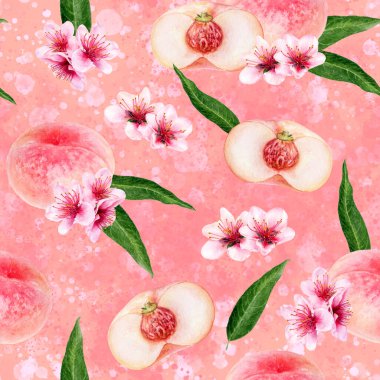 Suluboya desensiz şeftali çiçekli ve yapraklı renksiz arkaplan.