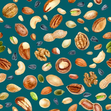 Renkli bir arkaplanda sulu boya desensiz fındık.