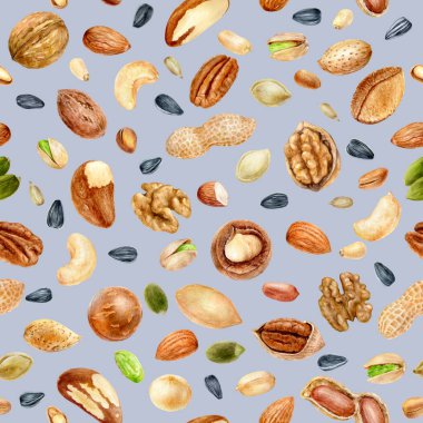 Renkli bir arkaplanda sulu boya desensiz fındık.