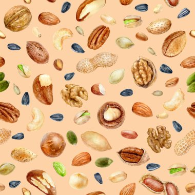 Renkli bir arkaplanda sulu boya desensiz fındık.