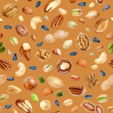 Renkli bir arkaplanda sulu boya desensiz fındık.