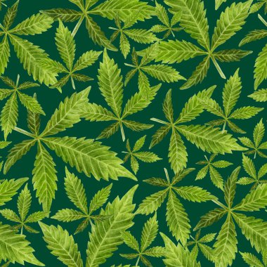 Renkli arkaplanda suluboya desensiz kenevir yaprakları.