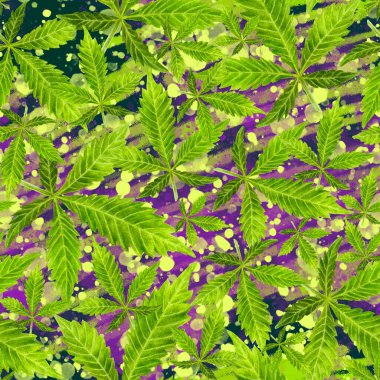 Renkli arkaplanda suluboya desensiz kenevir yaprakları.