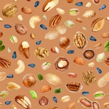 Renkli bir arkaplanda sulu boya desensiz fındık.