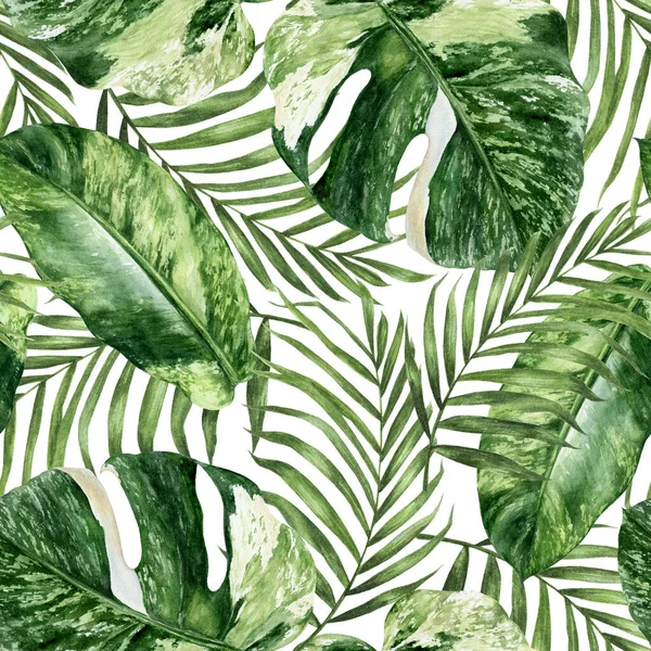Watercolor seamless pattern tropical leaves isolated on white background.