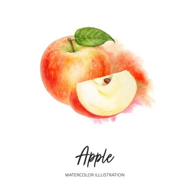 Arkaplanda izole edilmiş elma kırmızısı suluboya çizimi