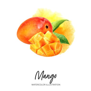 Mango suluboya çizimi sıçrama arkaplanında izole edildi