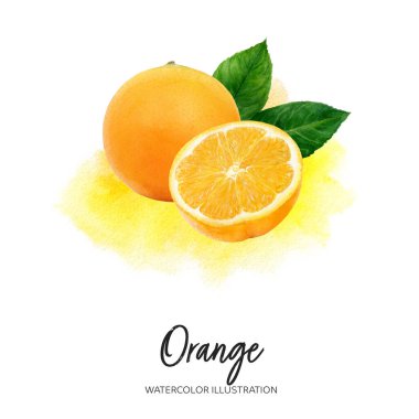 Turuncu meyve suluboya çizimi sıçrama arkaplanında izole edilmiş