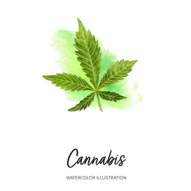 Esrar suluboya çizimi sıçrama arkaplanında izole edildi