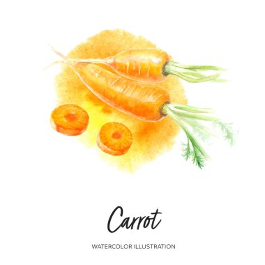 Sıçrama arkaplanında izole edilmiş havuç suluboya çizimi