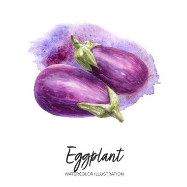 Patlıcan suluboya çizimi sıçrama arka planında izole edildi