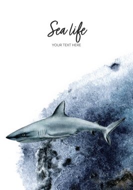 Beyaz köpekbalığı suluboya el resimli davetiye tasarım şablonu sıçrayan arka plan dokusu.