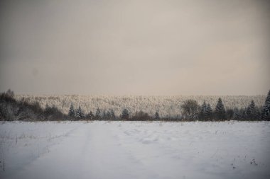 Karla kaplı tarlaları ve bulutlu bir gökyüzünün altında donmuş ormanlarıyla güzel bir kış manzarası.