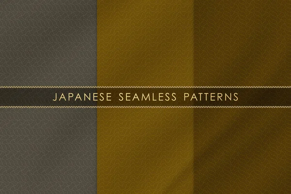 Conjunto Patrón Sin Costura Japonés Tradicional Con Textura Tela Seda — Vector de stock