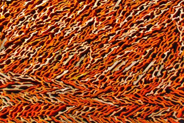 Pencere açılış karosu