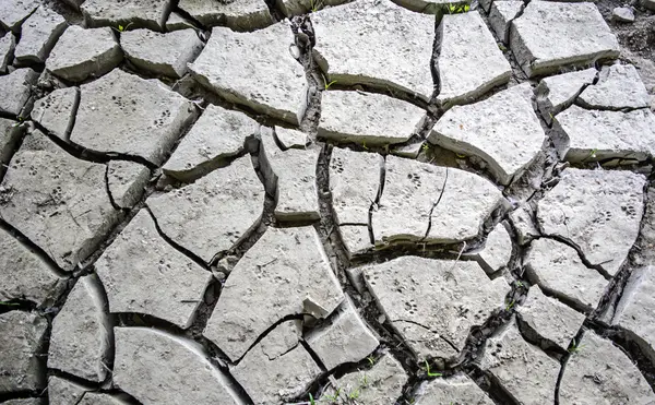 Cracked mud texture — Stock Photo, Image