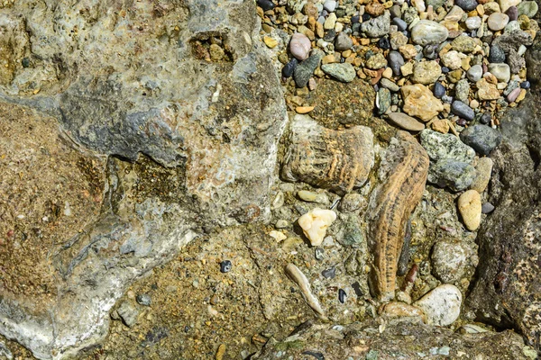 Stone structures sea — Stock Photo, Image