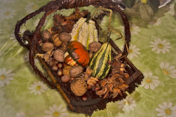 Krásné Vlašské Ořechy Lískové Oříšky Dekorativní Dýně Ozdobném Košíku — Stock fotografie