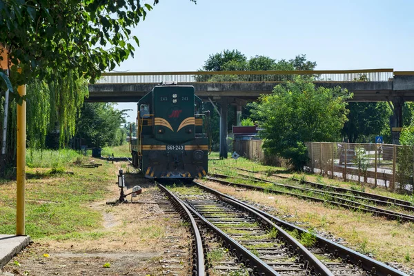 Zrenjanin Serbien August 2020 Diesellokomotiv 661 243 Som Hovedsagelig Kører - Stock-foto